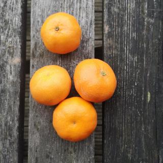Clementinen