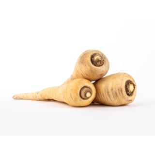 Pastinaken Neue Ernte