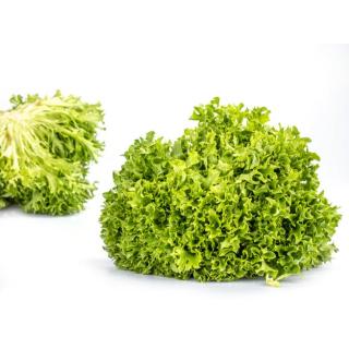 Salat Crispy